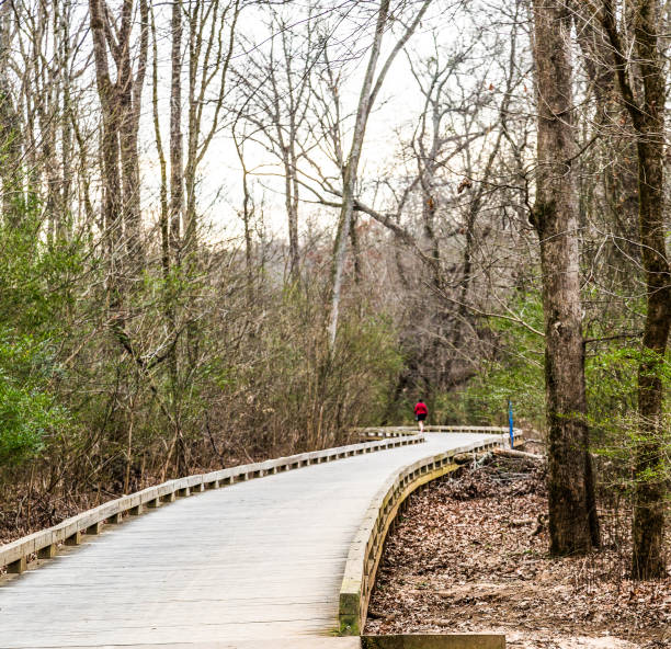 istock Concrete and Wood Walking Trail in Forest 896991766