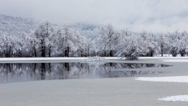 istock Winter landscape, background for christmas cards, desktop - with water reflection, trees, ice and snow 896997796