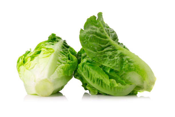 istock fresh baby cos (lettuce) on white background 897012636