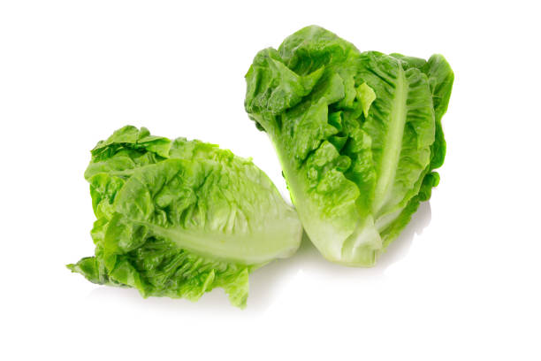 istock fresh baby cos (lettuce) on white background 897012638