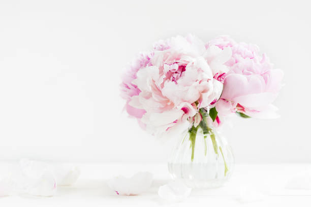 istock Fresh bunch of pink peonies on light background 897020094