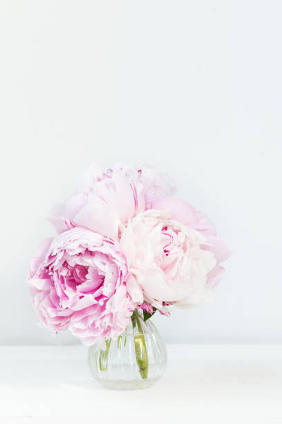 istock Fresh bunch of pink peonies on light background 897020202