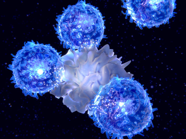 istock Dendritic cell presenting an antigen to T-lymphocytes 897023500