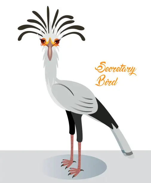 Vector illustration of Secretary Bird