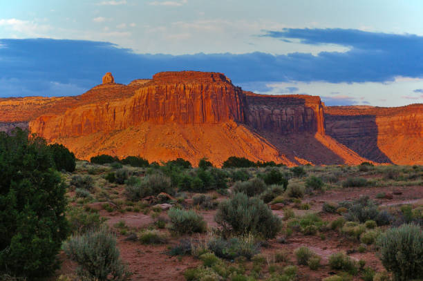 istock Large red mesa lit by the evening sun with various desert plants in the foreground 897027196