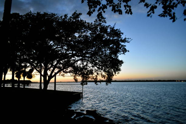 istock Vivid Sunset over Water with Tree in tree silhouette 897030998