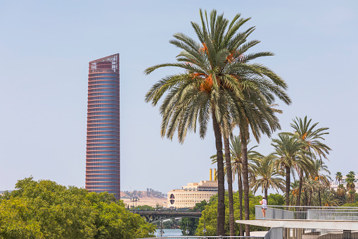 A woman stands on a deck overlooking the Guadalquivir river, with Sevilla Tower in the background - the tallest building in the city.