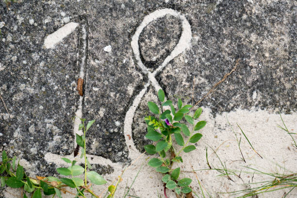 The number is eighteen