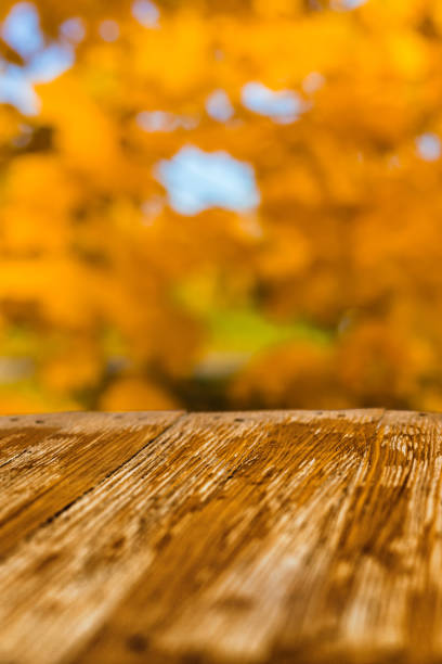 istock Empty rustic wood table top on blurred colorful autumn leaves background in bright fall forest. Can montage or display your products 897053810