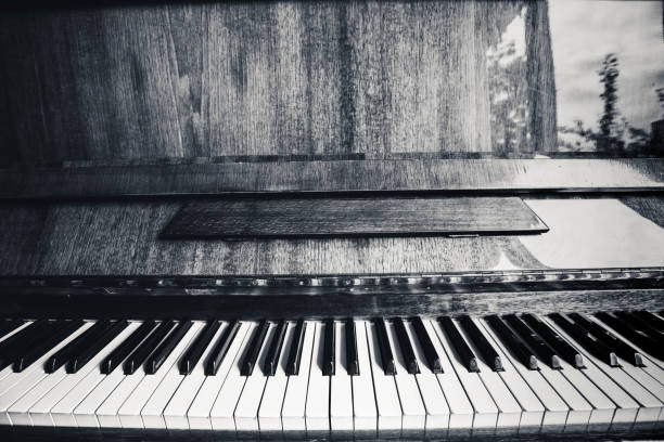 istock Black and white Beautiful piano keys 897062928