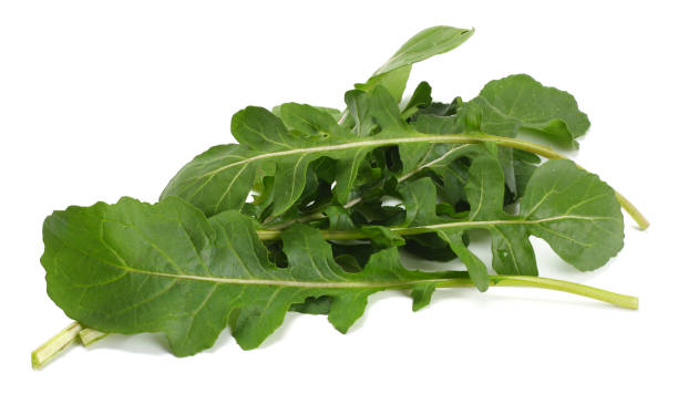 istock green fresh rucola leaves isolated on white background. Rocket salad or arugula. 897063914