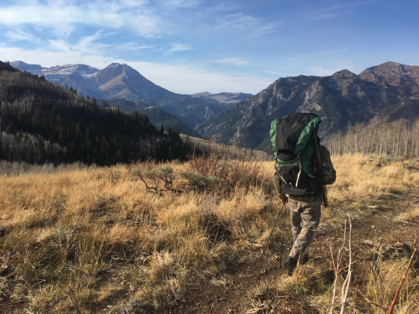 A hiker on a ridge A hunter carries a large backpack as he hikes along a mountain ridge. woodland camo stock pictures, royalty-free photos & images