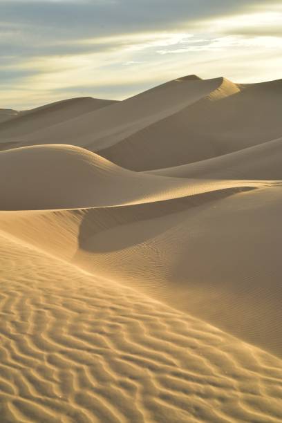 istock dawn at the dunes Imperial Sand Dunes, California 897092842