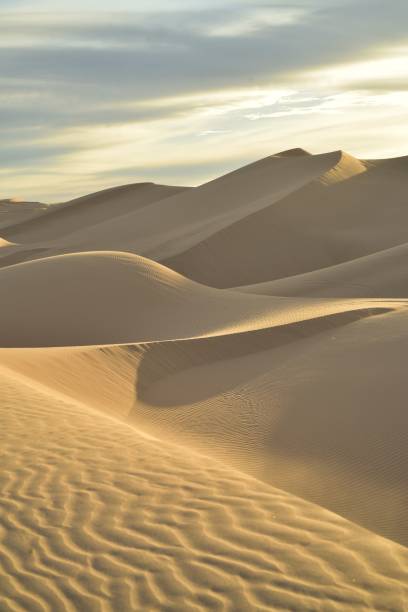 istock dawn at the dunes Imperial Sand Dunes, California 897092882