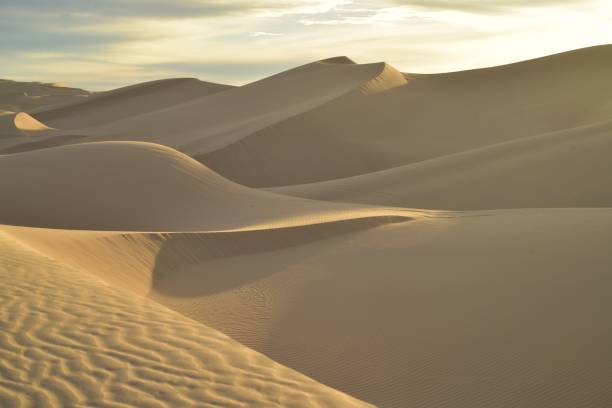 istock dawn at the dunes Imperial Sand Dunes, California 897093336