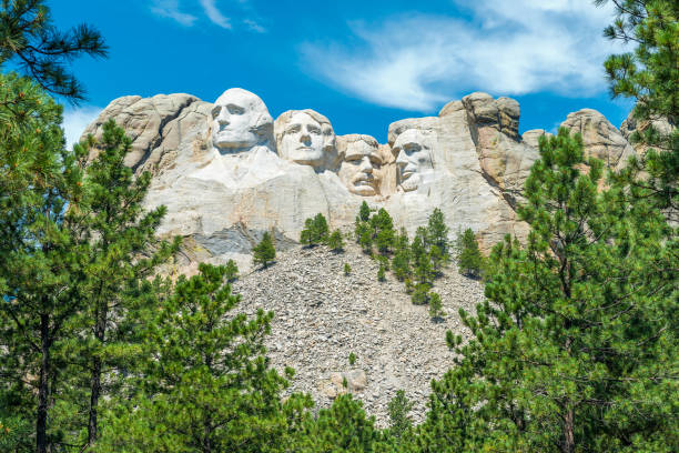 Mount Rushmore National Monument The granite carvings of four US presidents of the Mount Rushmore National Monument seen through a pine tree forest, Black Hills region, Rapid City, South Dakota, USA. black hills national forest stock pictures, royalty-free photos & images