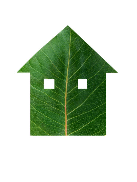 istock Close-Up Of House Shaped Leaf Over White Background 897122840