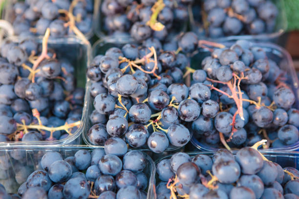 istock Red Grape in Greengrocer's Shop 897122846