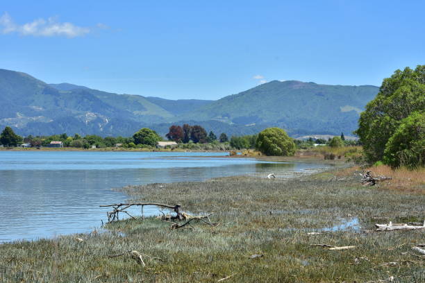 istock Estuary and coastal marshes 897137792