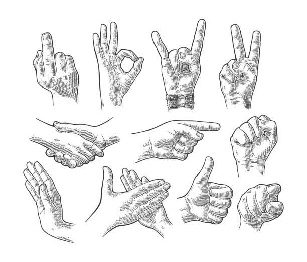 Male and female hand gesture set Male and female hand sign set. Fist, Like, Handshake, Ok, Stop, Middle finger up, Pointing, Applause, Fig, Rock Roll gesture. Vector vintage engraved illustration isolated white background pointing illustrations stock illustrations