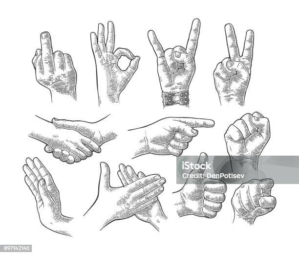 Male And Female Hand Gesture Set Stock Illustration - Download Image Now - Hand, Retro Style, Engraving