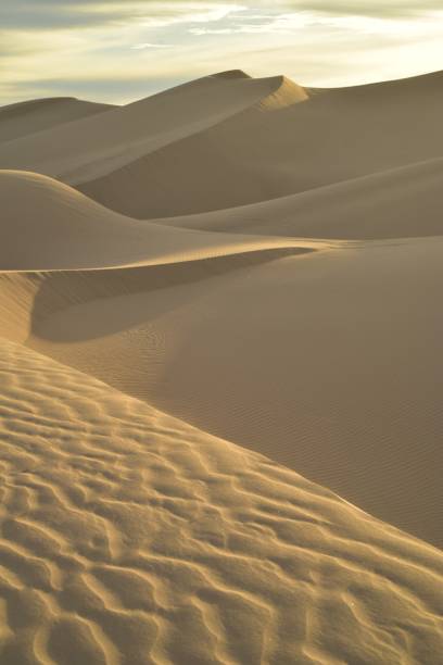 istock desert dunes Imperial Sand Dunes California 897157548