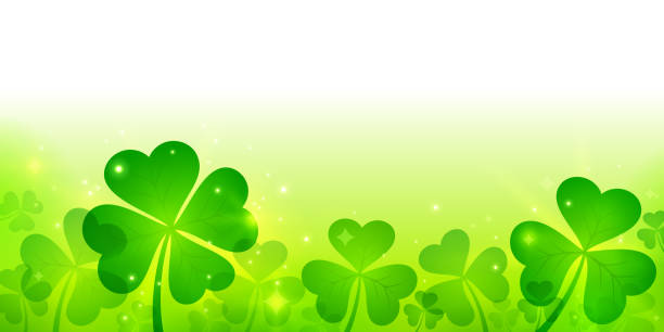 ilustrações de stock, clip art, desenhos animados e ícones de st patrick's day clover shamrock background - st patricks day backgrounds clover leaf