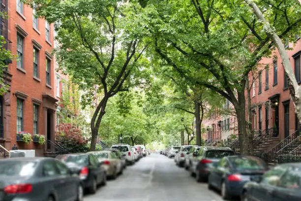 Photo of Tree lined street of historic brownstone buildings in a Greenwich Village neighborhood in Manhattan New York City NYC