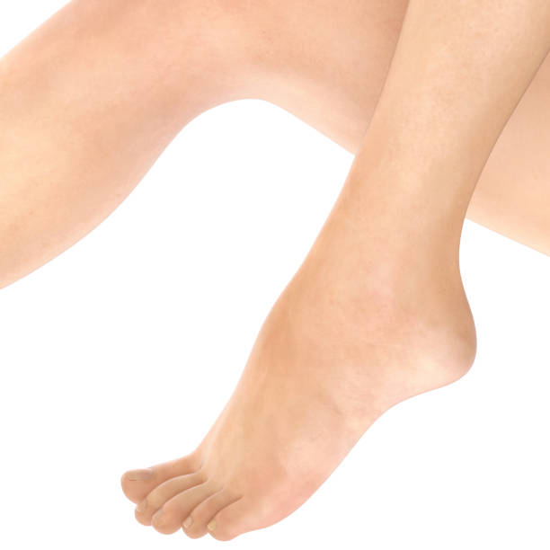 Isolated Woman's Foot stock photo