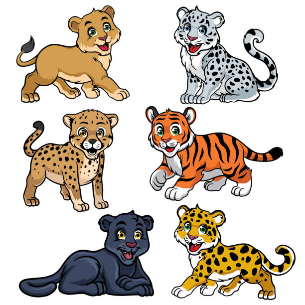 ilustraciones, imágenes clip art, dibujos animados e iconos de stock de colección de felinos bebés - panthers
