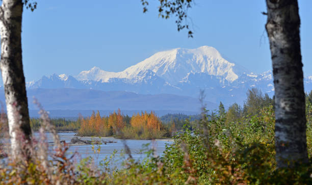 istock Mountains of  Alaska, USA 897197058