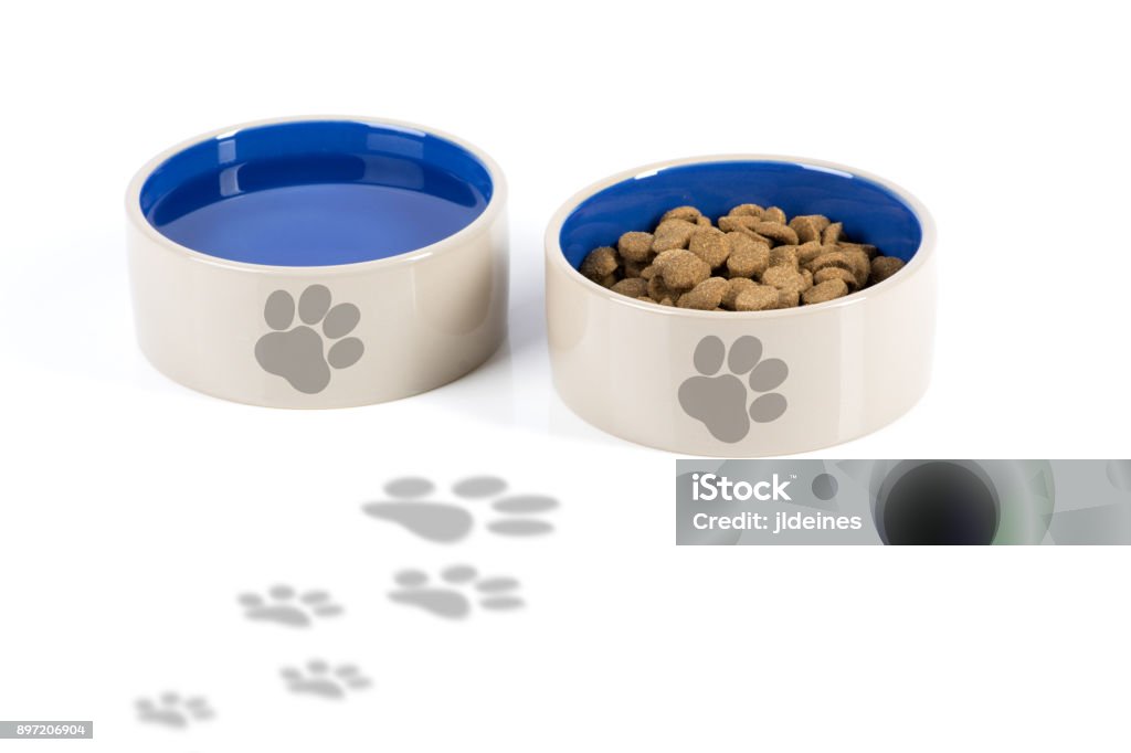 Dog Bowls with Footprints Twon dog dishes, one filled with water and the other filled with pet foot. Dog paws are walking up to the bowls and each both has a paw print on them. Bowls are light brown on the outside and blue on the inside, white background. Dog Bowl Stock Photo