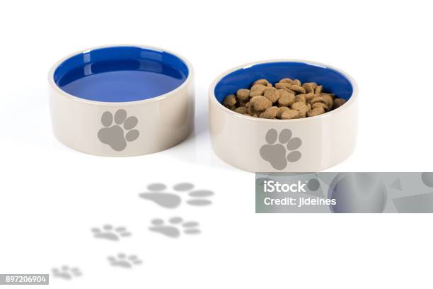 Dog Bowls With Footprints Stock Photo - Download Image Now - Dog Bowl, Paw Print, Two Objects