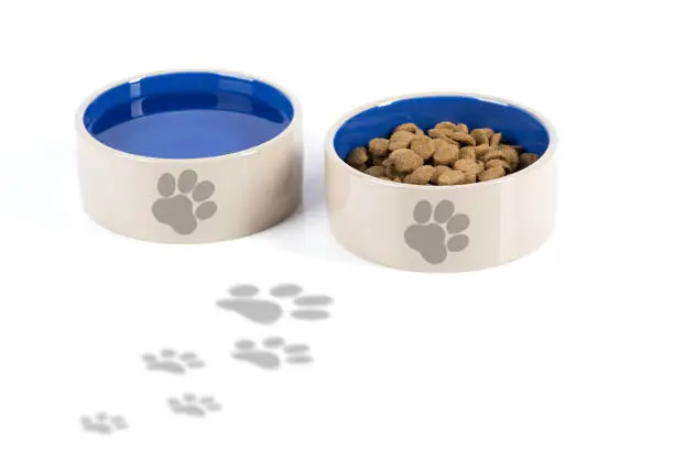 Twon dog dishes, one filled with water and the other filled with pet foot. Dog paws are walking up to the bowls and each both has a paw print on them. Bowls are light brown on the outside and blue on the inside, white background.