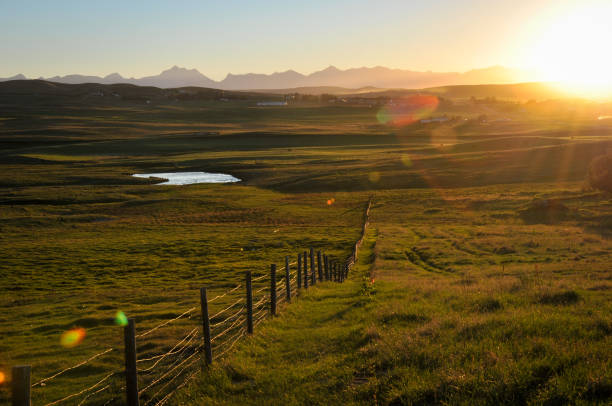 istock Sunset over southern Alberta prairie grasslands. 897209962