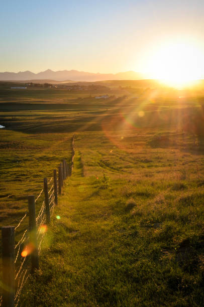 istock Sunset over southern Alberta prairie grasslands. 897210094