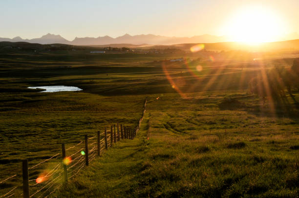 pôr do sol ao longo do sul pradarias de alberta pradaria. - alberta prairie farm fence - fotografias e filmes do acervo