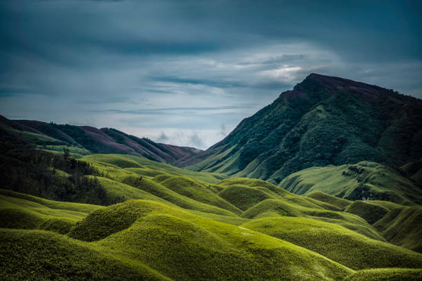 Dzukou Valley, Nagaland, North East India.