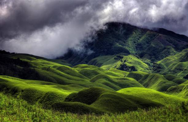 istock Dzukou Valley, Nagaland, North East India. 897229558