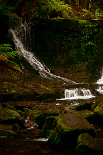 istock Horseshoe Falls in Mount Field National Park. 897232400