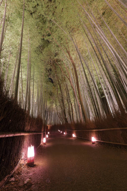 istock Bamboo Grove Sagano Kyoto Japan 897232416