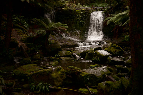 istock Horseshoe Falls in Mount Field National Park. 897232550