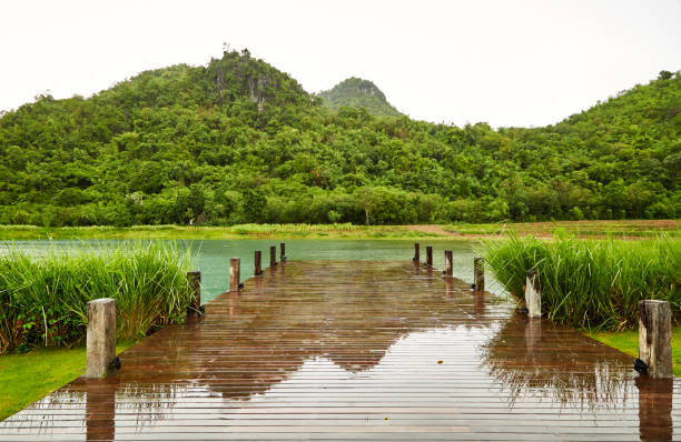 istock Mountain pond, wooden bridge in the rainy 897235192
