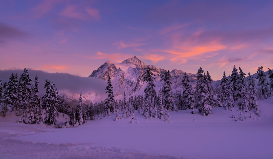 Mt Shuksan is a glaciated massif in the North Cascades National Park, WA.