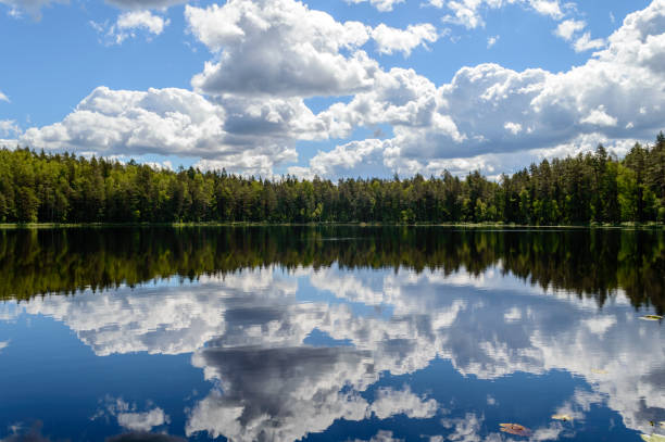 istock colorful lake river in countryside in summer 897277580