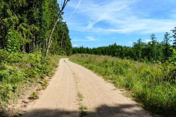 istock countryside road in summer 897288354
