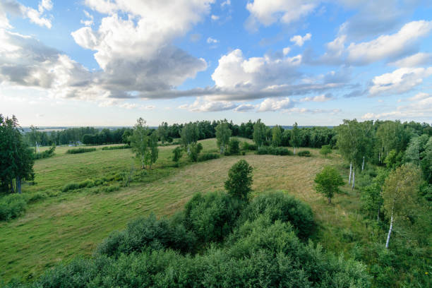 istock empty colorful meadows in countryside with flowers in foreground 897288394