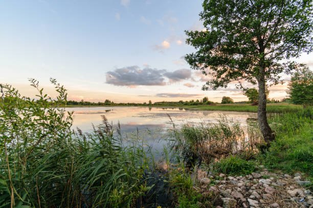 istock colorful lake river in countryside in summer 897288428