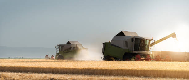 istock Harvesting of wheat field in summer 897288770