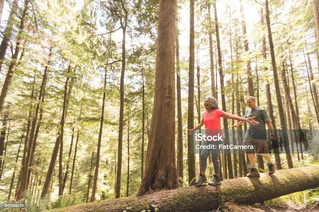 Senior Couple on a Day Hike in Forest Cute senior couple explore the Pacific Northwest together on a day hiking trip. They are walking across a log in the forest. She is in front and they have their arms out for balance as they inch across... Senior Adult Stock Photo